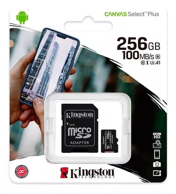 Memoria Kingston Micro Sd 256Gb Clase 10 100Mb/s